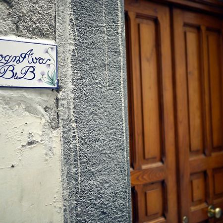 B&B Sognava Σαλέρνο Εξωτερικό φωτογραφία